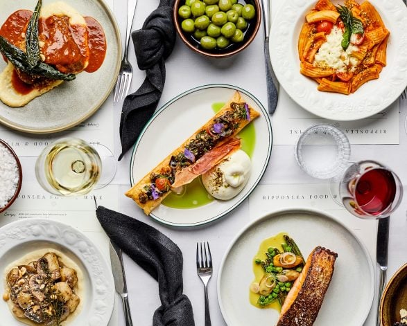 Winter Lunch & Tour Package