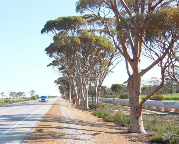 The Golden Pipeline Heritage Trail