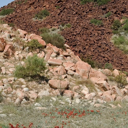 Burrup  MLewi