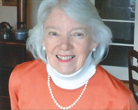 Elaine Lawson was elected as Director at the 2016 National Trust NSW AGM