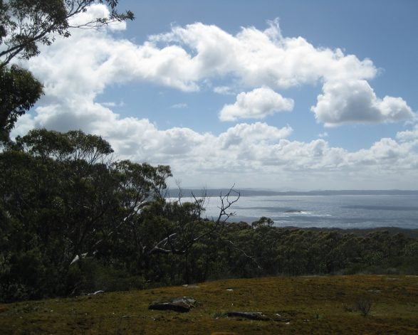 Main Property  View to east