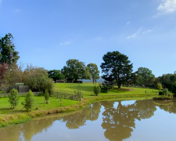 Climate Resilience in Victoria Submission