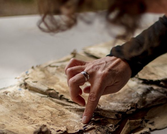 Conservation Projects