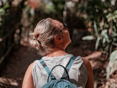 outdoor festival highlight