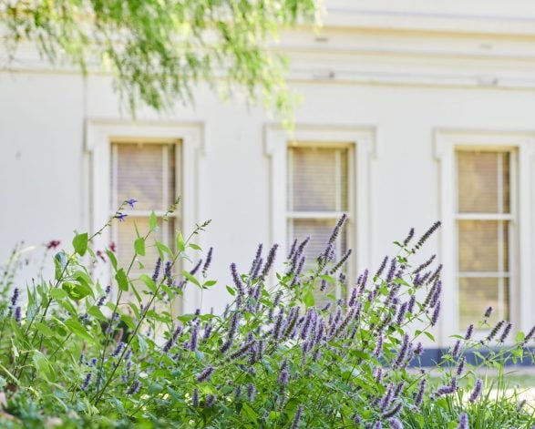 Our pick of gardens to visit