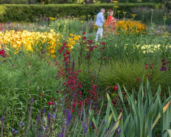 Spring the National Trust