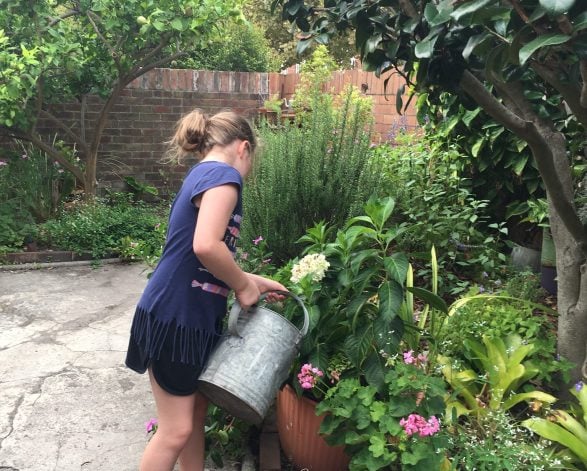 Sunday 8 September: Spring at Miss Porter's House
