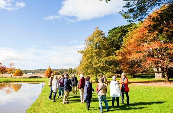 Group visits