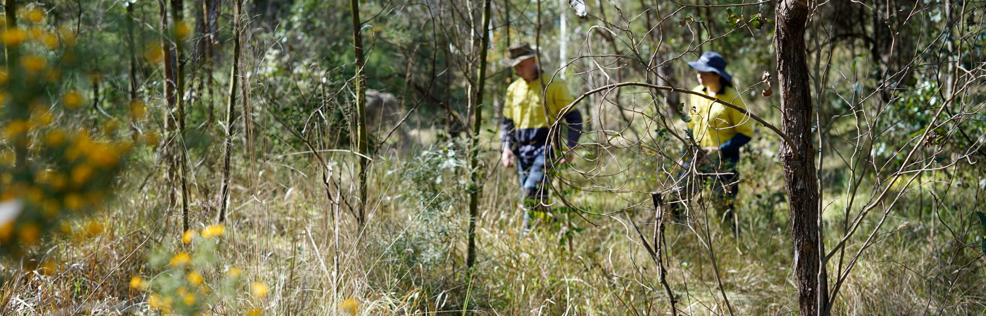 Bushland Management Services
