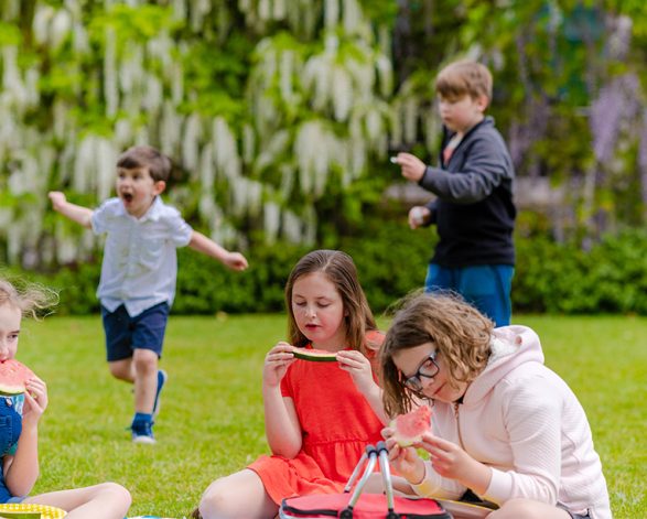 Norman Lindsay Gallery picnic