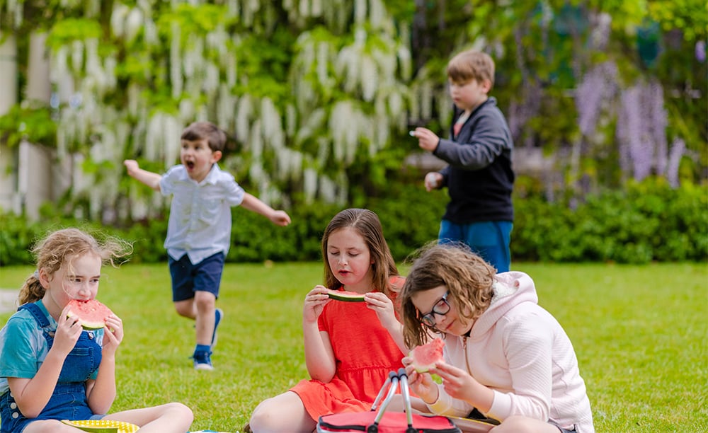 Norman Lindsay Gallery picnic