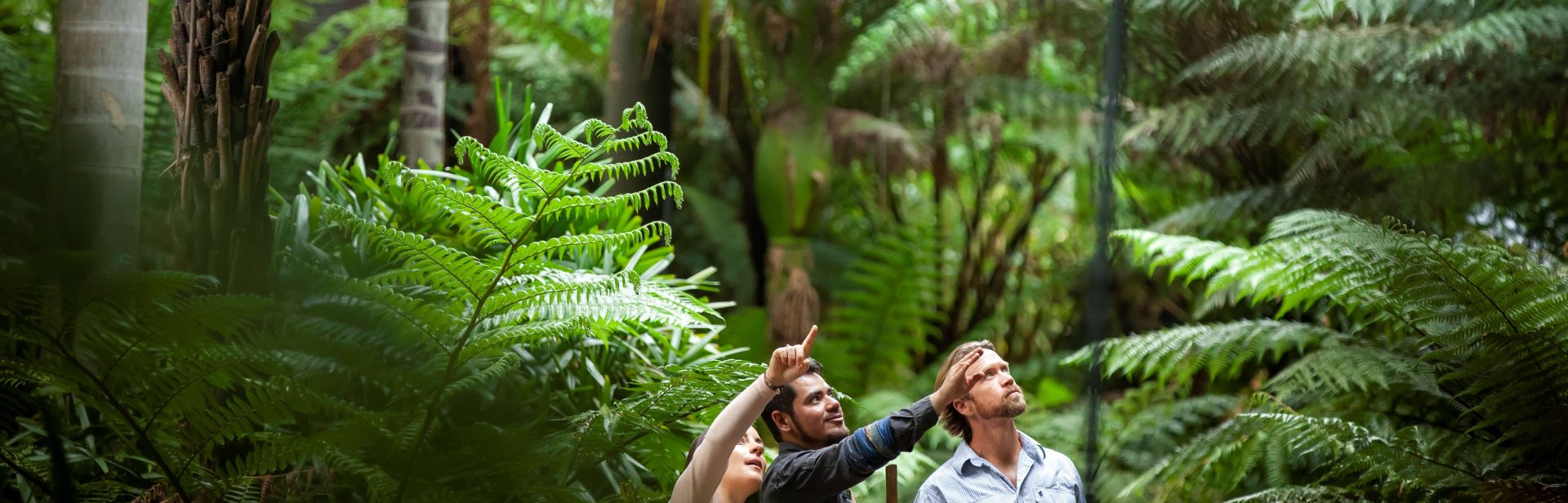 Aboriginal Heritage Walk