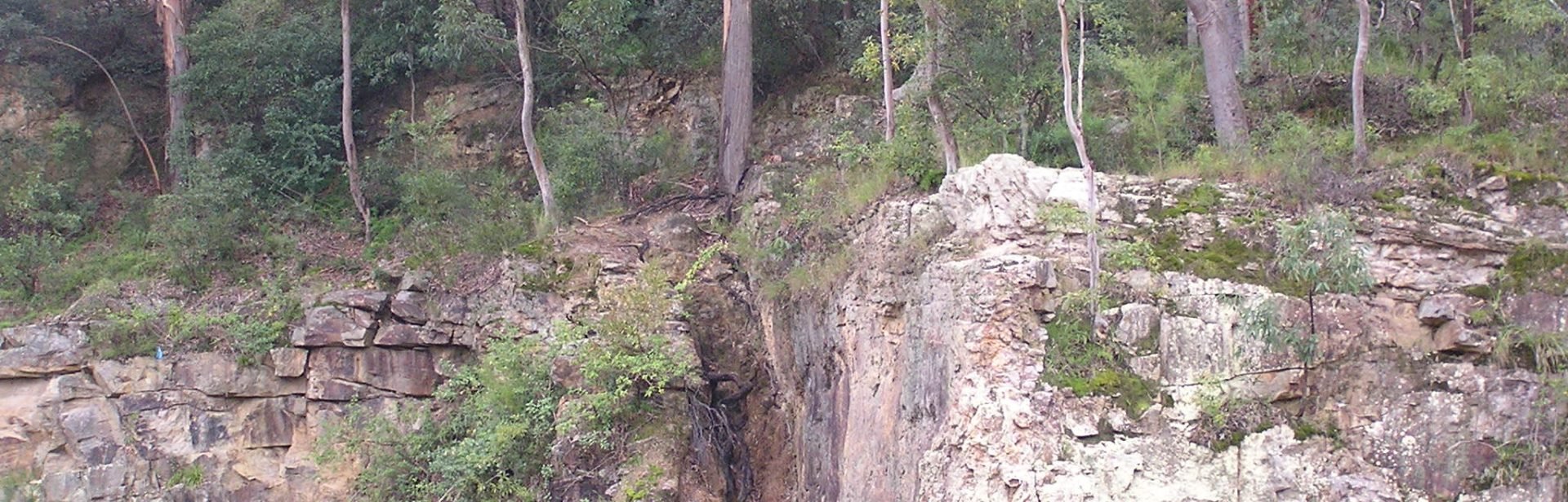Bicentennial Park, West Pymble Dyke