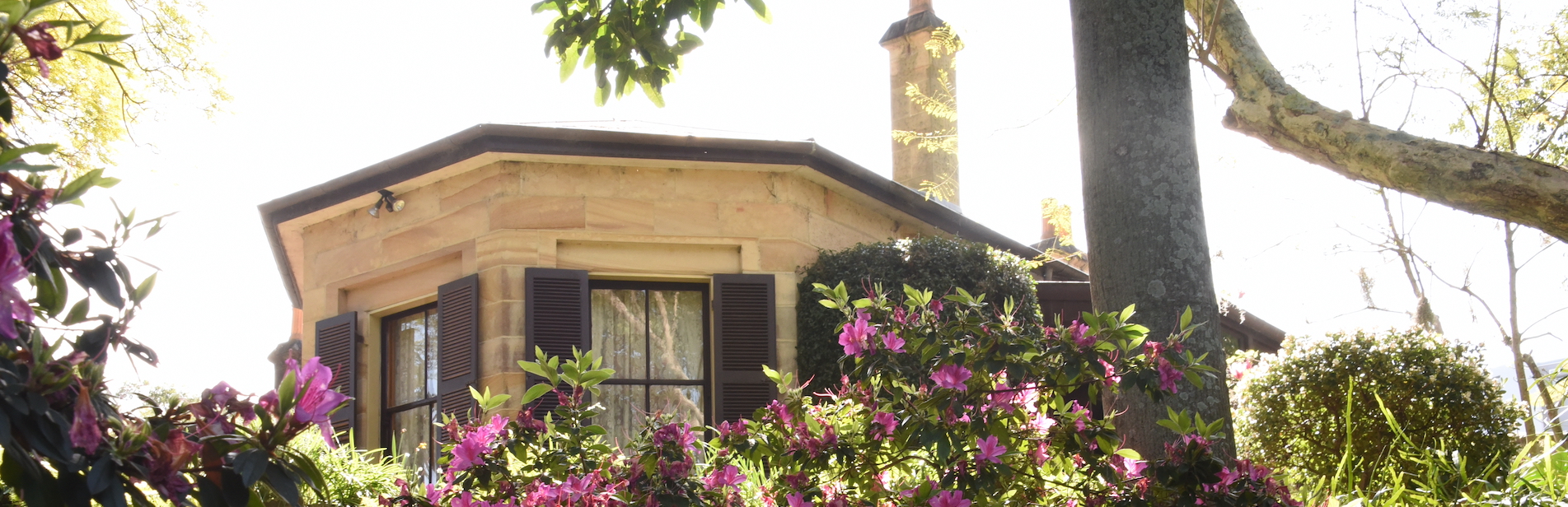 Carisbrook Historic House