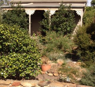 1876 Miners Cottage in Long Gully and its garden related image