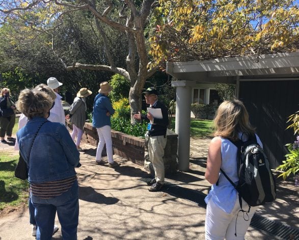 Castlecrag Historical Walking Tour & Tea