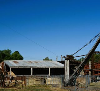 The Old Blue Eucy Still Inglewood related image