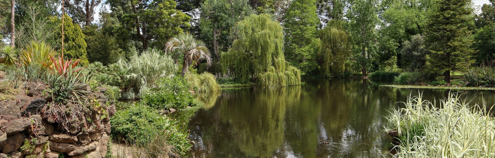 Trees fringing lake - Rippon Lea Estate