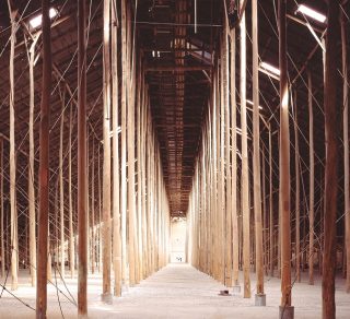 Murtoa s Stick Shed related image