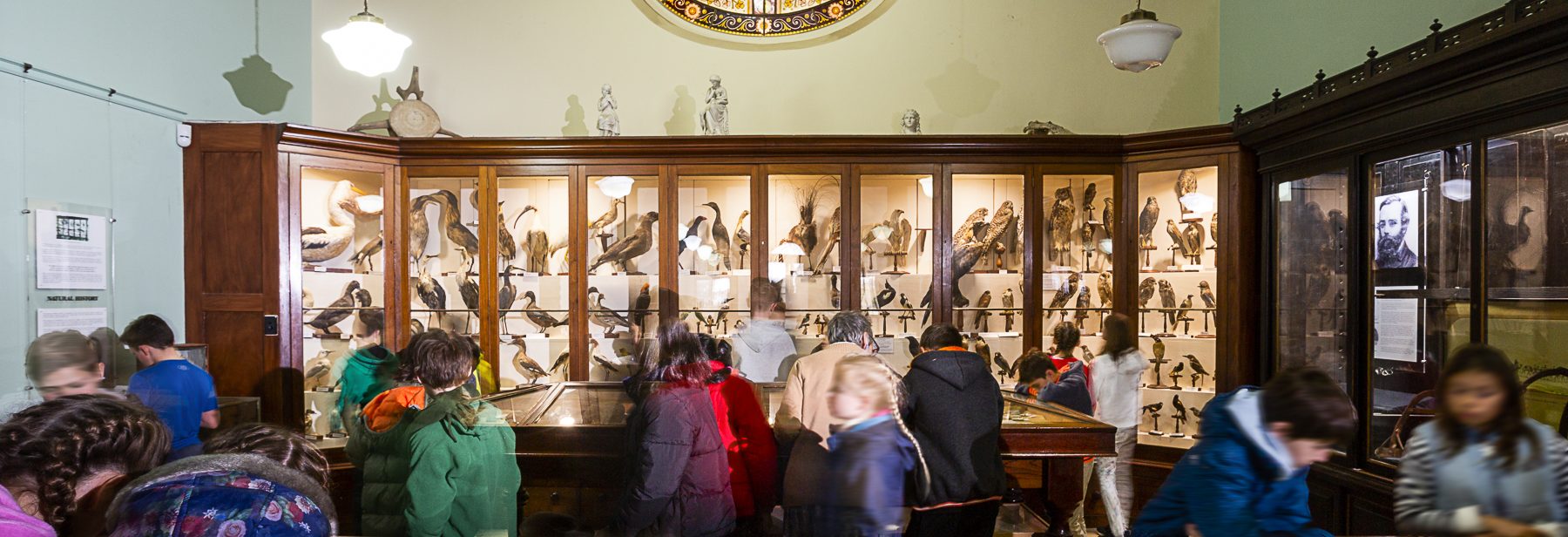 Burke Museum, Cabinets of Curiosities