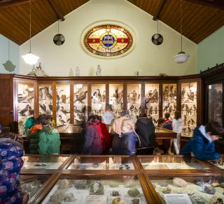 Burke Museum Cabinets of Curiosities related image