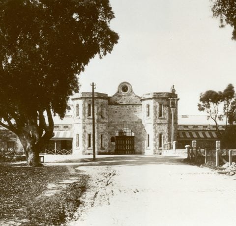 feature image