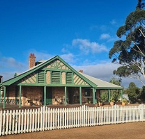 feature image
