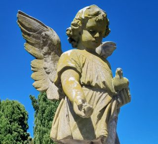 related image
