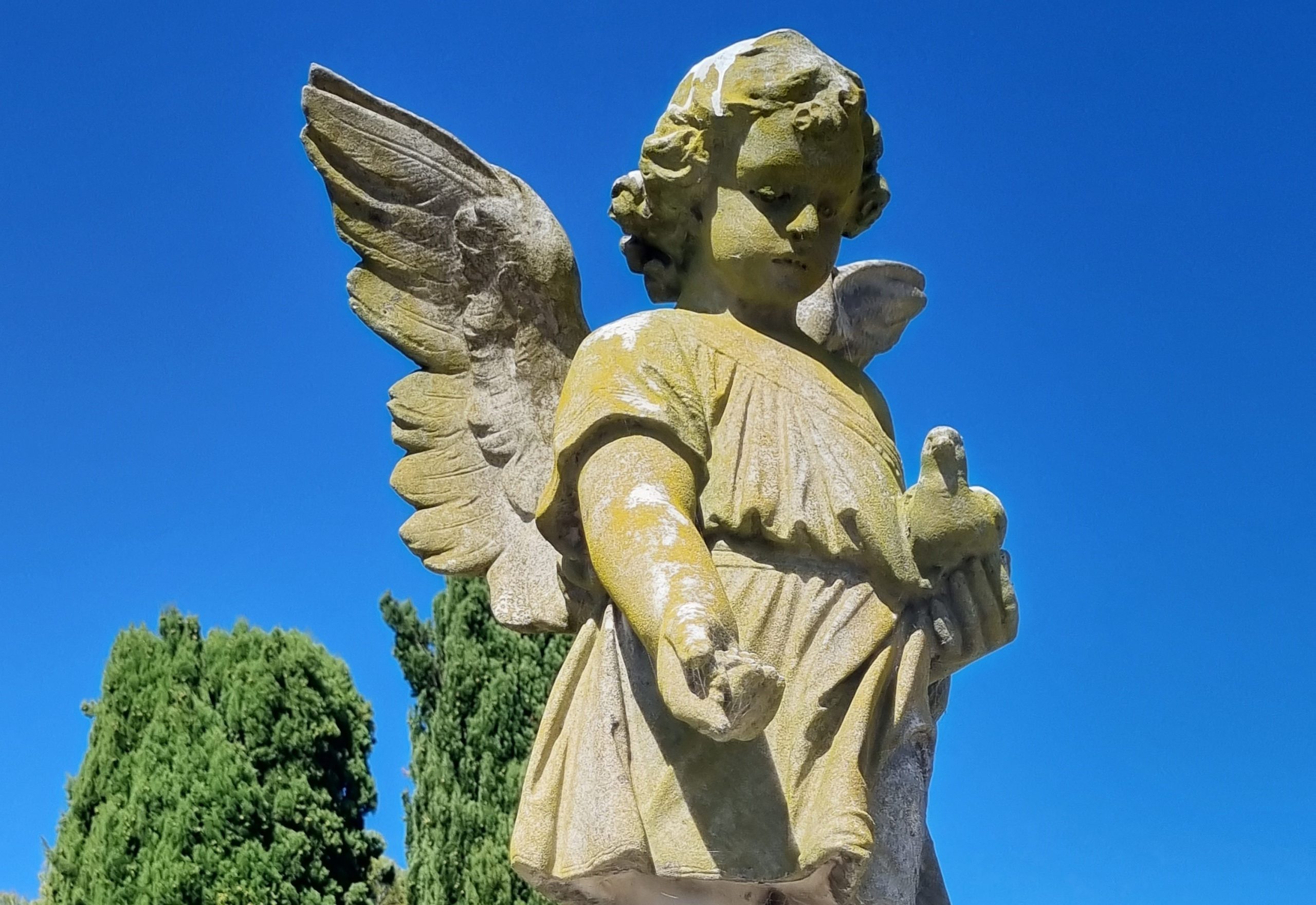 feature image