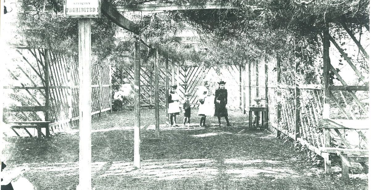 Fernery- Girls in the Pinetum