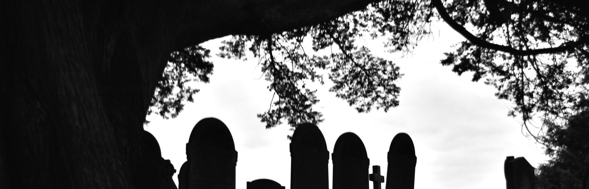 Bridgetown Cemetery Walks
