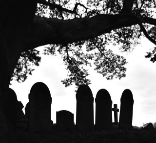 Bridgetown Cemetery Walks related image