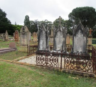related image