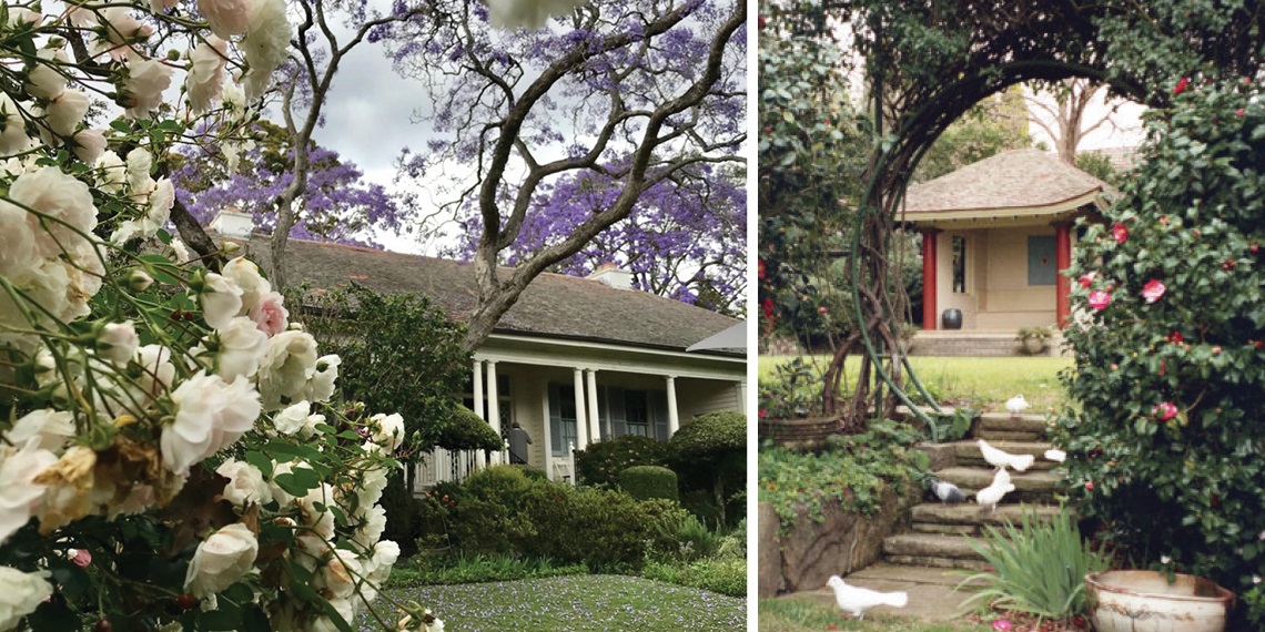 Eryldene Open Friday - Garden Tour