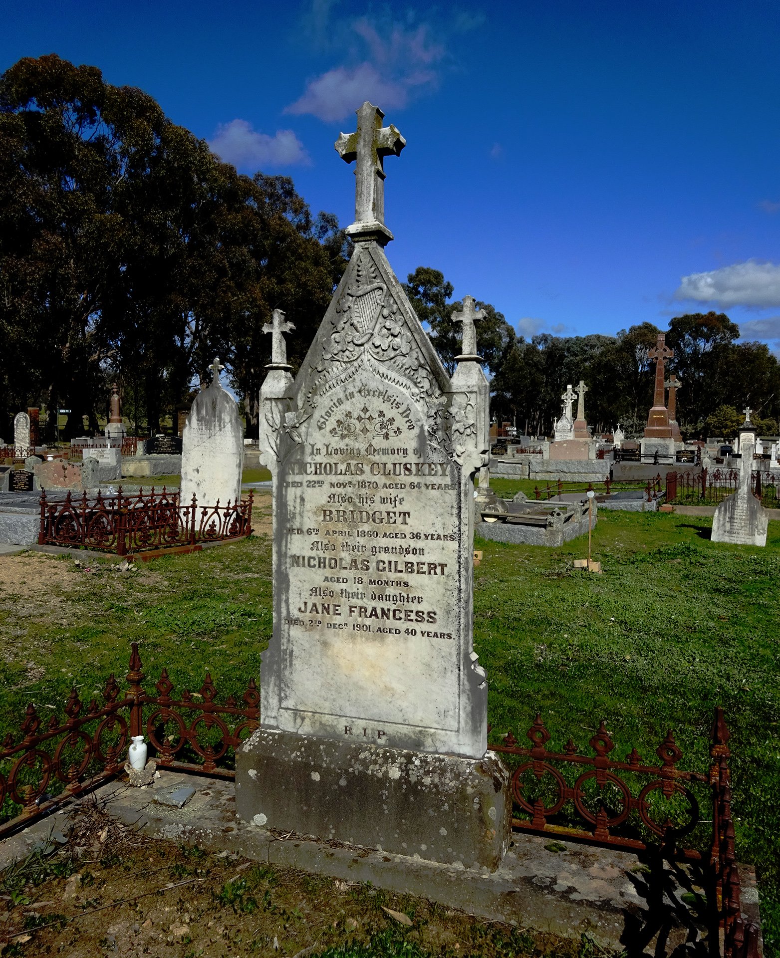 feature image