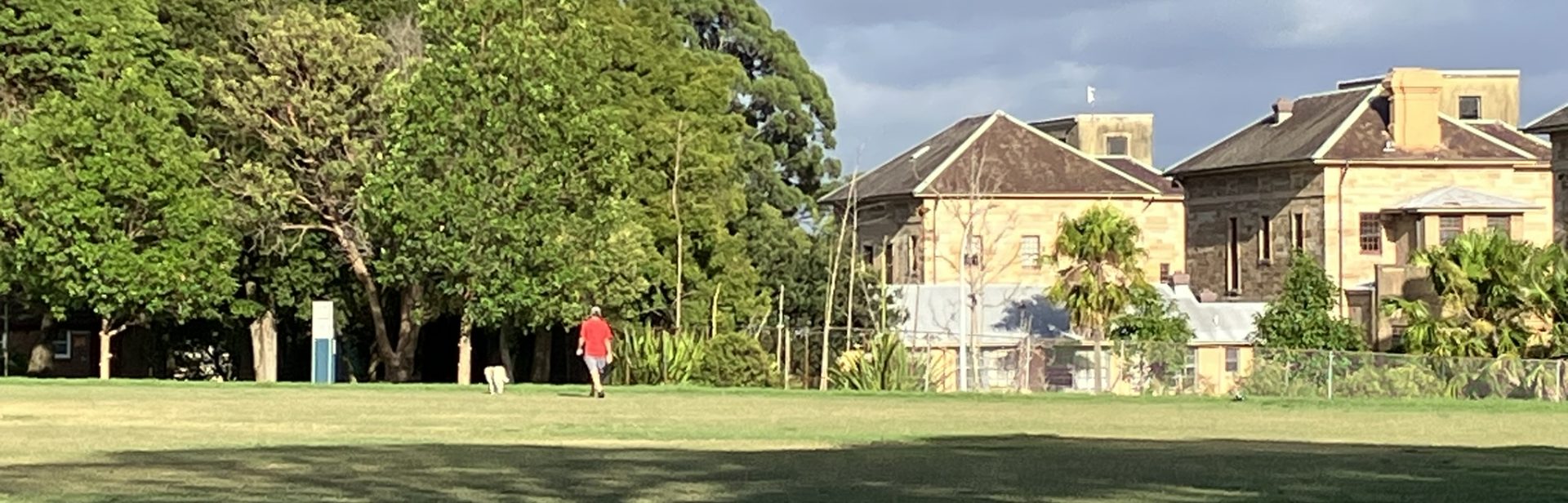 Balmain Road field with Kirkbride in background