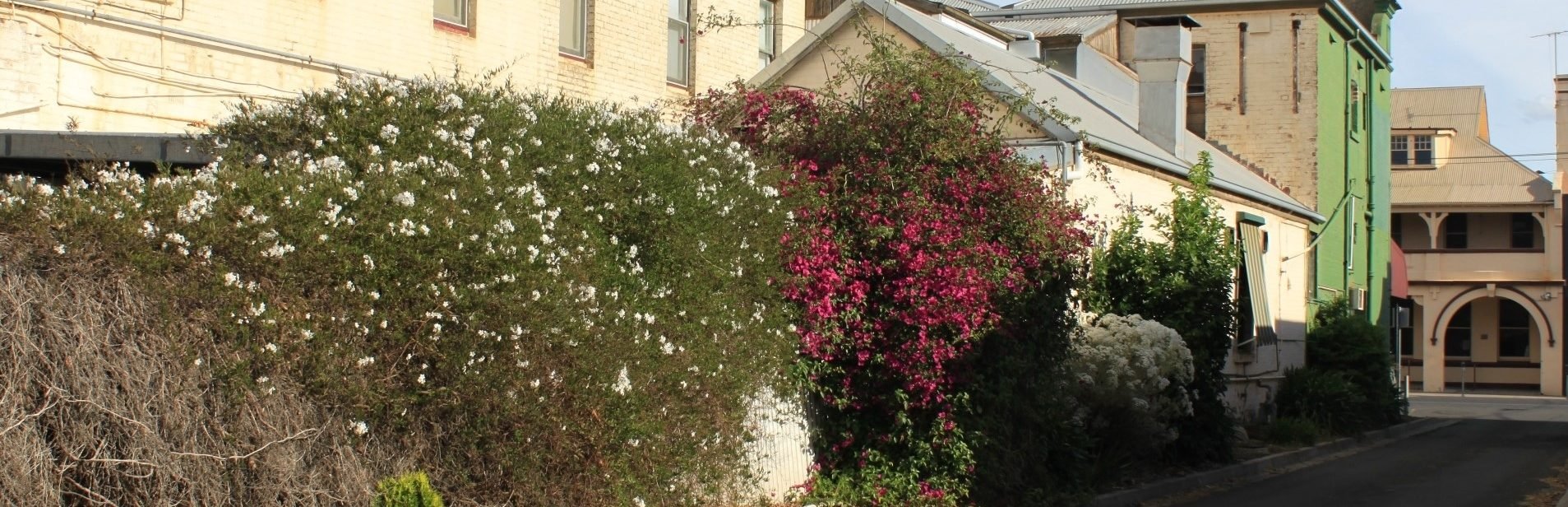 Come and see this Horsham laneway and hear about its history