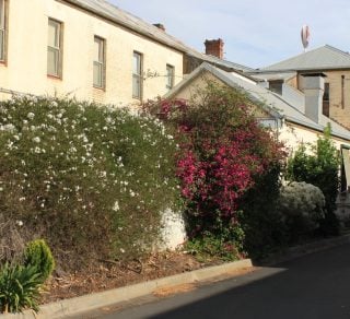 Come and see this Horsham laneway and hear about its history related image