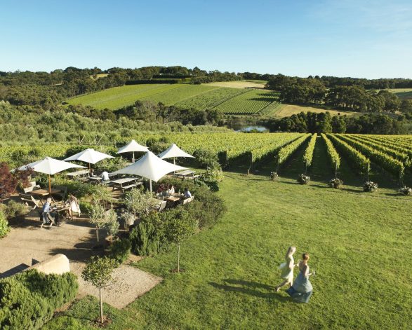 Montalto Winery 