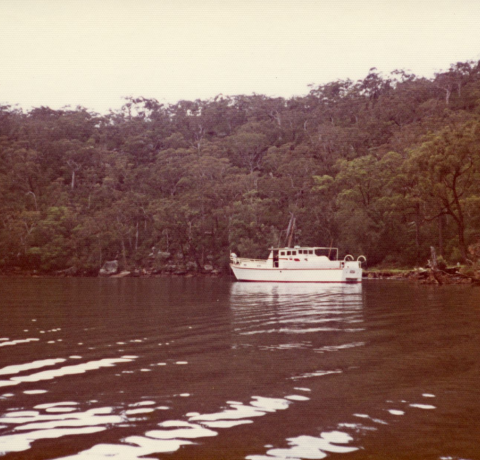feature image