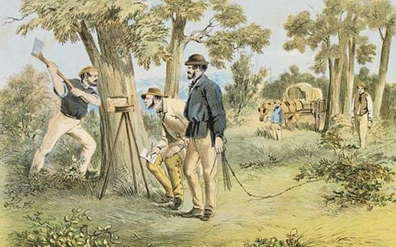 feature image