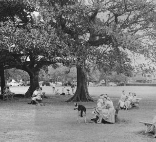Steyne Park on the Keltie Cove waterfront Double Bay 1950s related image