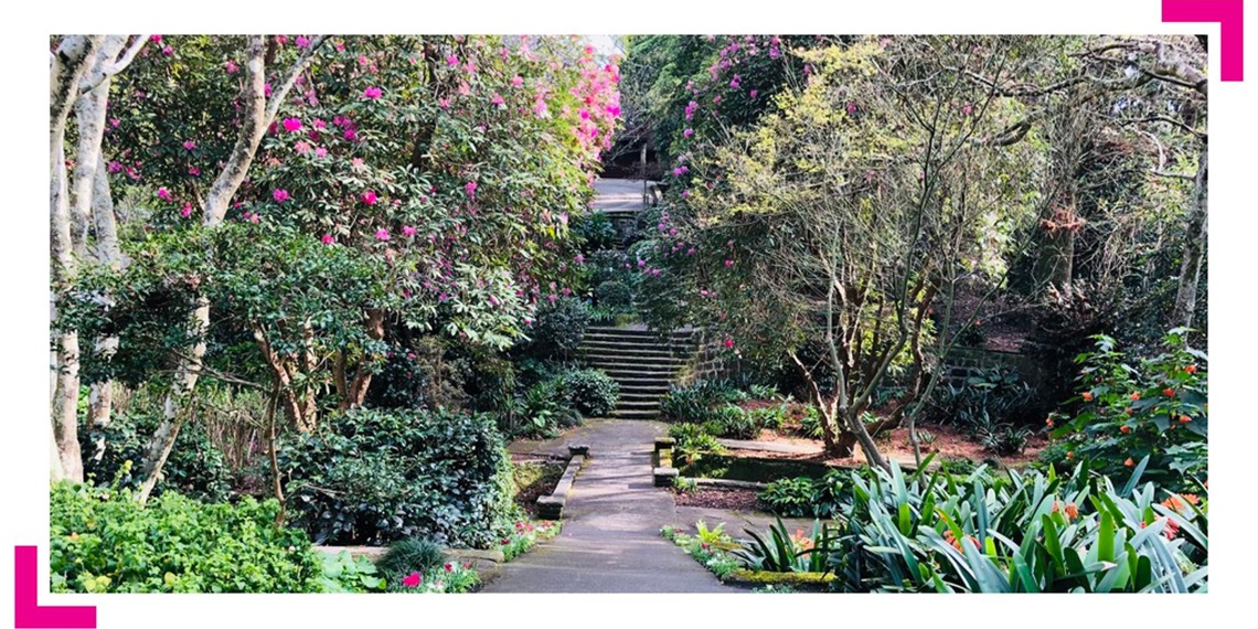 Swain Gardens Guided Walk