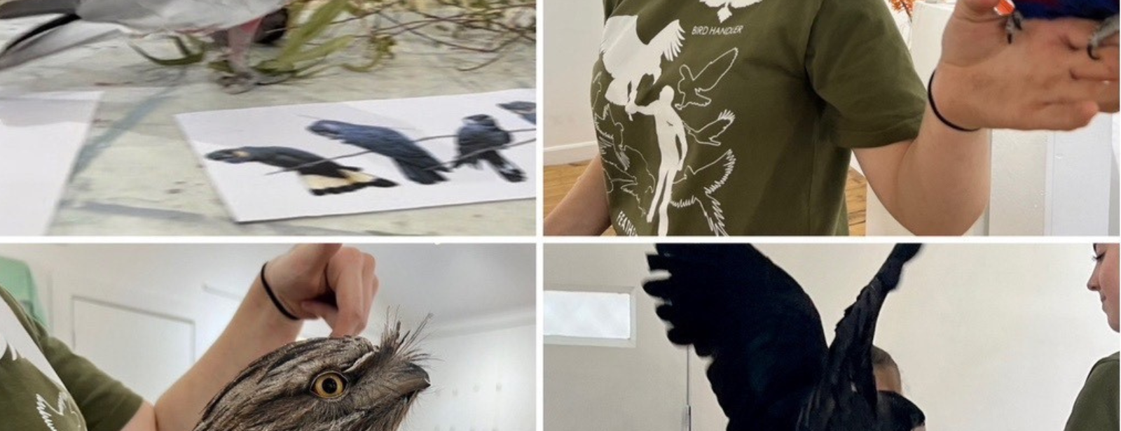 Zorana Drawing Workshop