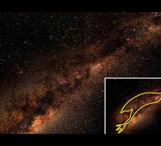related image