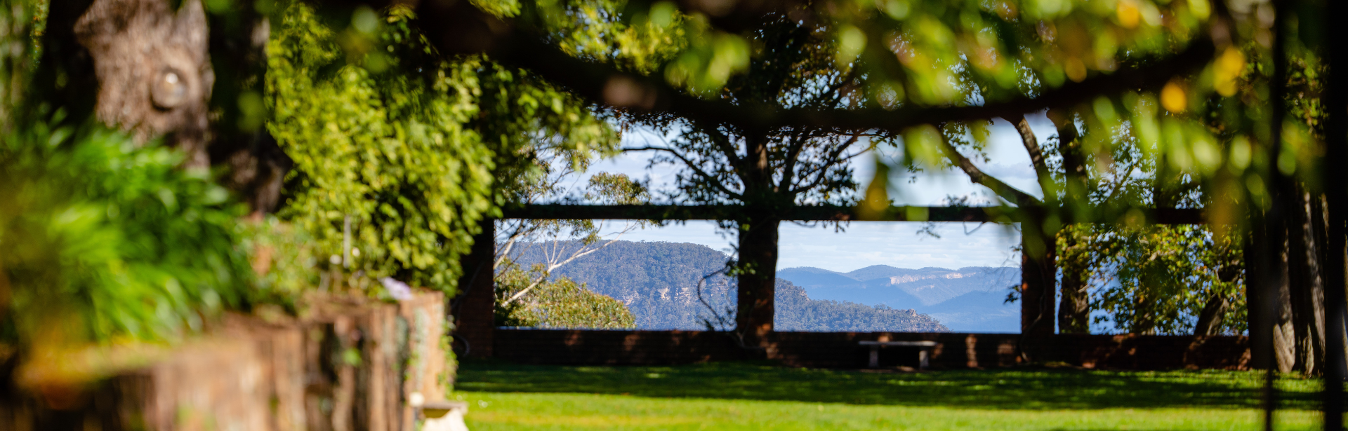 A scenic view of the Blue Mountains from a picturesque garden
