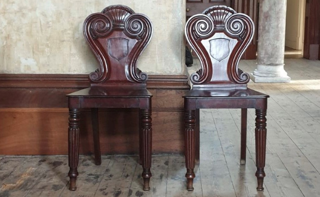 A Pair of grecian backed hall chairs in mahogany against an austere background
