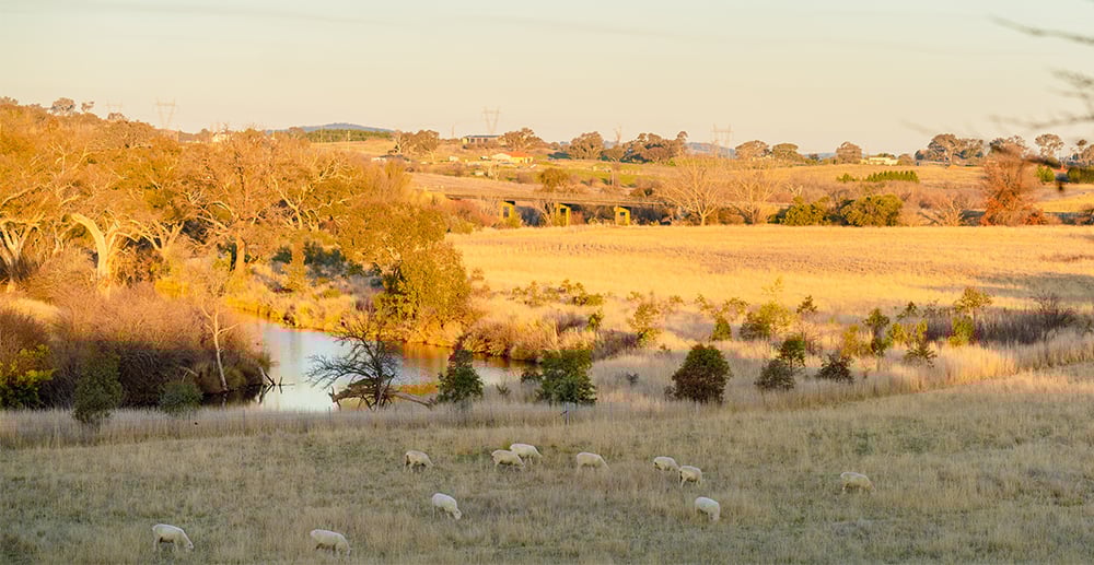 Cooma Cottage