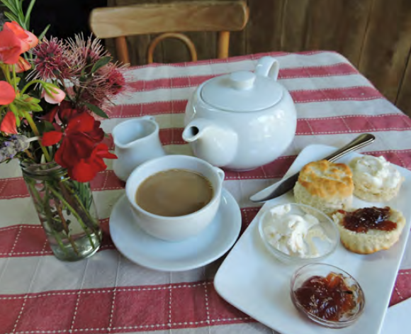 Devonshire tea on a red and white striped table cloth