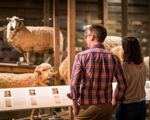 National Wool Museum 
